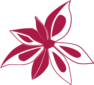 flor-de-jamaica.png