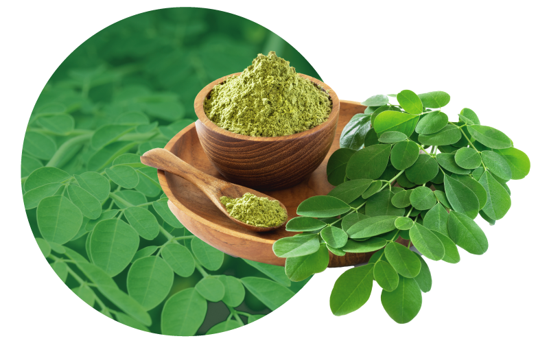 moringa-pin.png