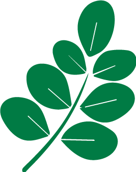 moringa.png