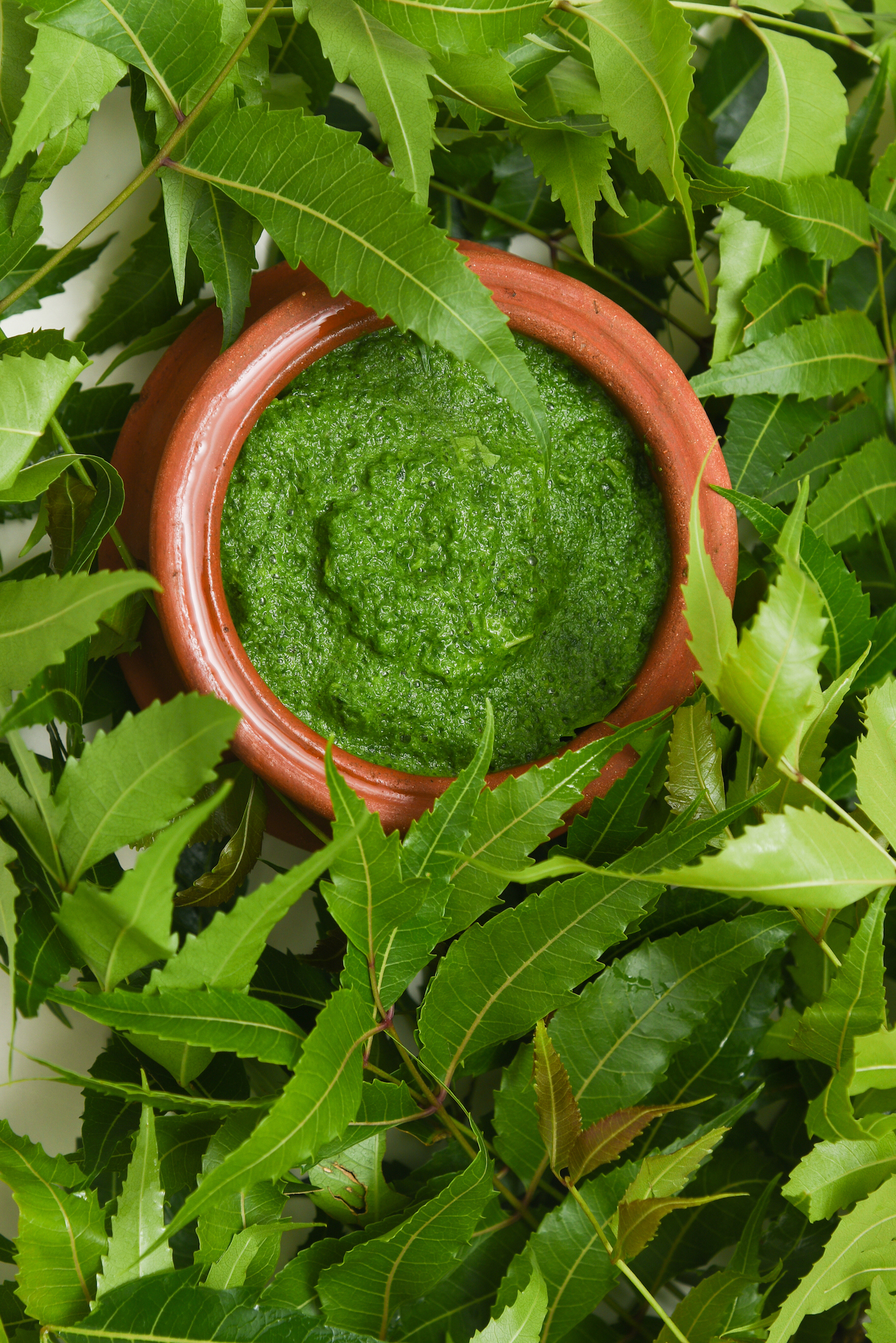 neem-1-1.jpeg