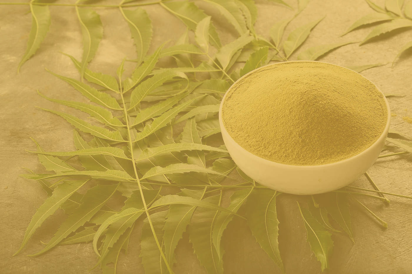 neem-3.jpg