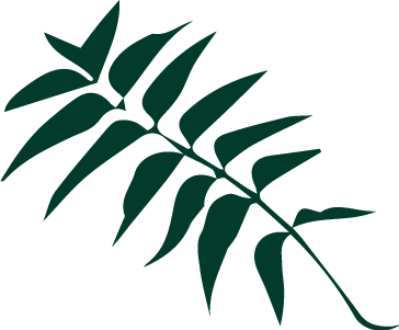 neem-hoja-seca.png