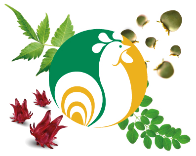 agrogallo-pin-productos-1.jpg